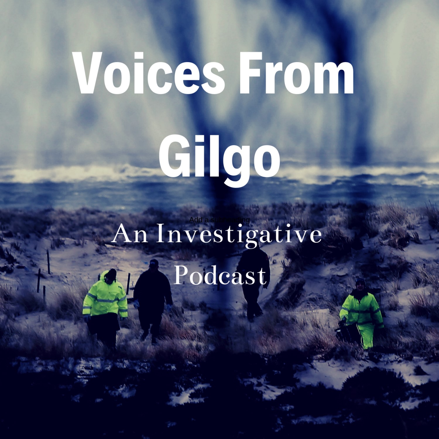 Voices from Gilgo