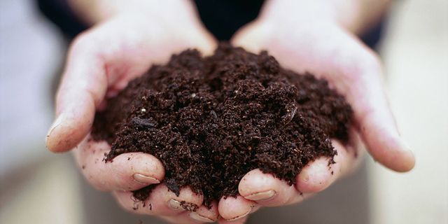 Picture is of hands holding soil 