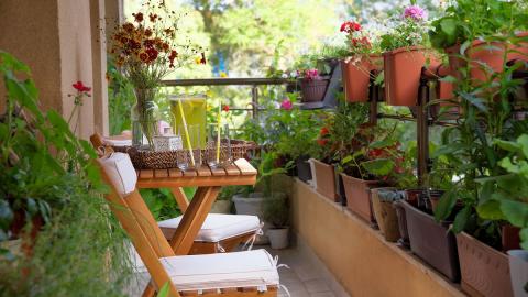 Small Space Gardening 