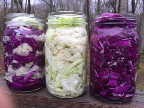 Fermented food in a jar 