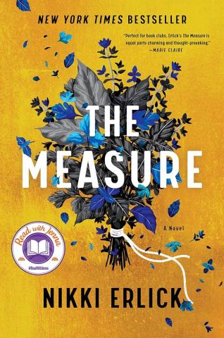 The Measure by Nikki Erlick book cover