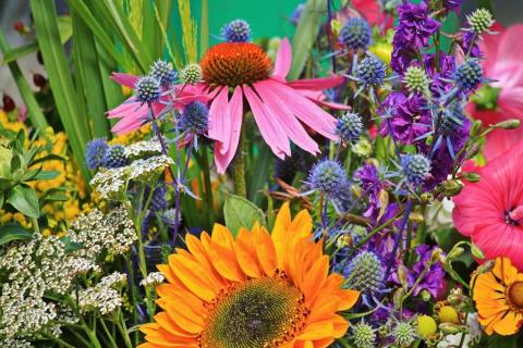 Color our World Flowers 