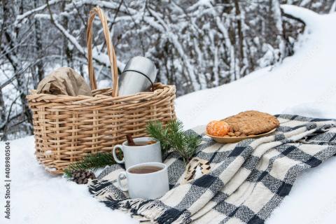 winter picnic 