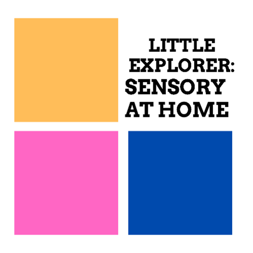 Little Explorers: Sensory at Home 