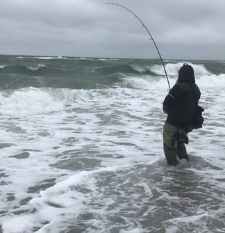 Surf Fishing 