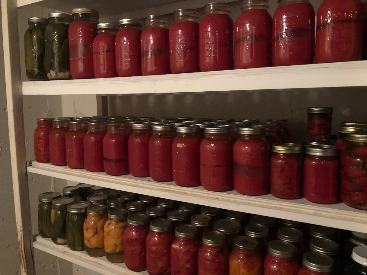 Preserved Jars of food 