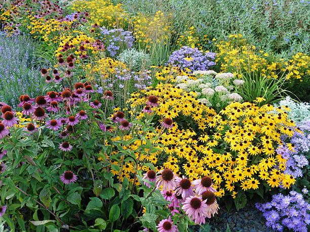 Perennial gardens 