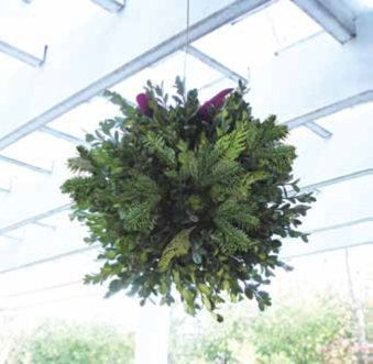 Evergreen kissing ball 